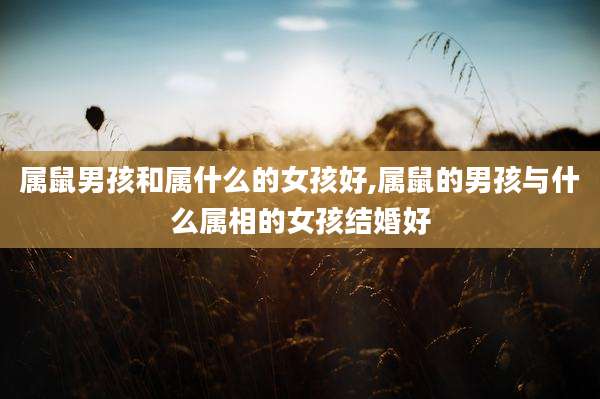 属鼠男孩和属什么的女孩好,属鼠的男孩与什么属相的女孩结婚好