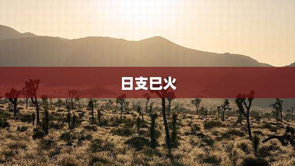 日支巳火
