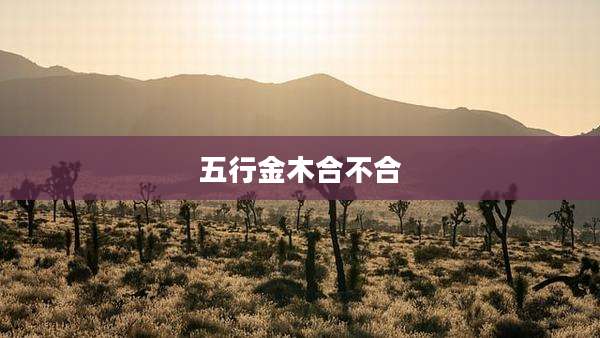 五行金木合不合