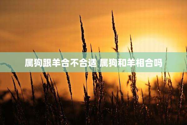 属狗跟羊合不合适 属狗和羊相合吗