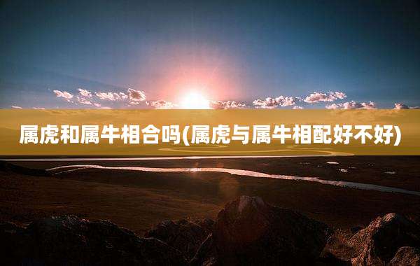 属虎和属牛相合吗(属虎与属牛相配好不好)