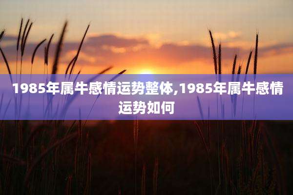 1985年属牛感情运势整体,1985年属牛感情运势如何