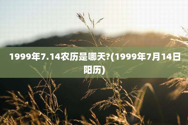 1999年7.14农历是哪天?(1999年7月14日阳历)
