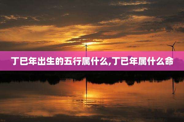 丁巳年出生的五行属什么,丁已年属什么命