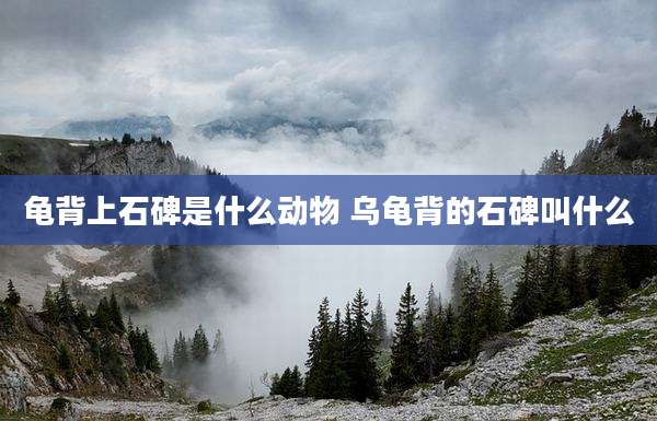 龟背上石碑是什么动物 乌龟背的石碑叫什么