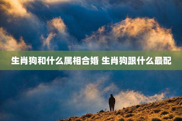 生肖狗和什么属相合婚 生肖狗跟什么最配