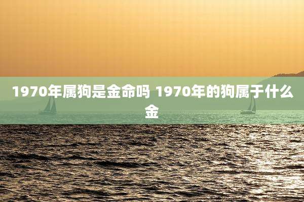 1970年属狗是金命吗 1970年的狗属于什么金