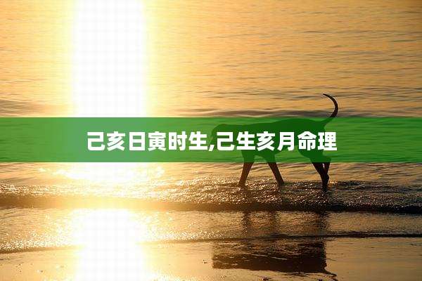 己亥日寅时生,己生亥月命理