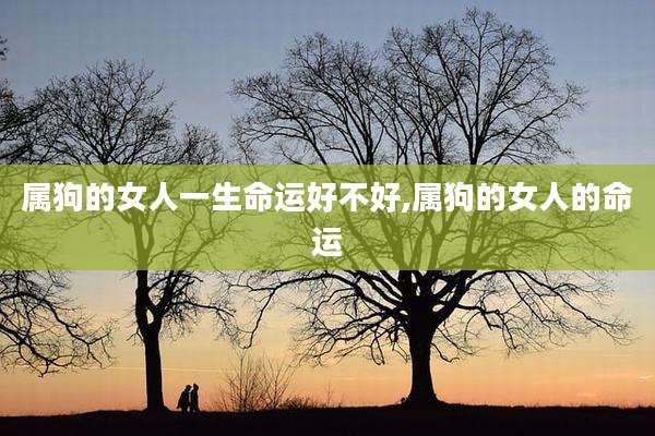 属狗的女人一生命运好不好,属狗的女人的命运