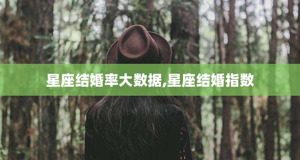 星座结婚率大数据,星座结婚指数