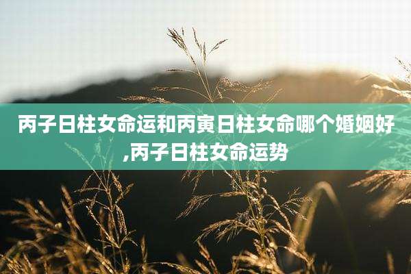 丙子日柱女命运和丙寅日柱女命哪个婚姻好,丙子日柱女命运势