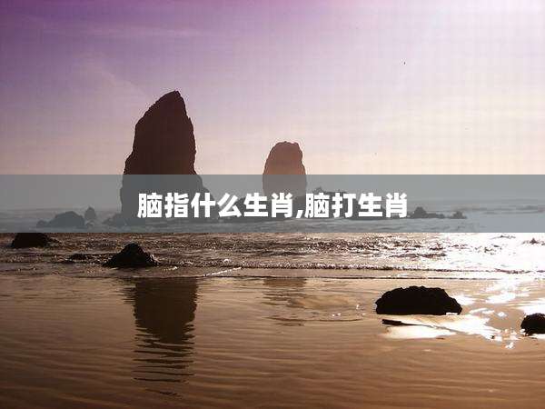 脑指什么生肖,脑打生肖