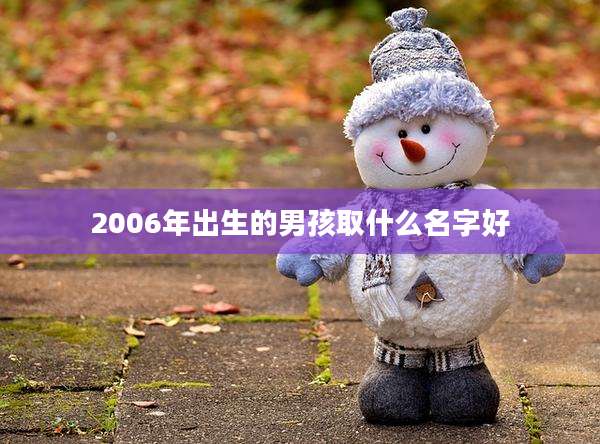 2006年出生的男孩取什么名字好