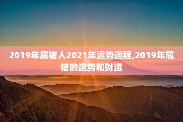 2019年属猪人2021年运势运程,2019年属猪的运势和财运