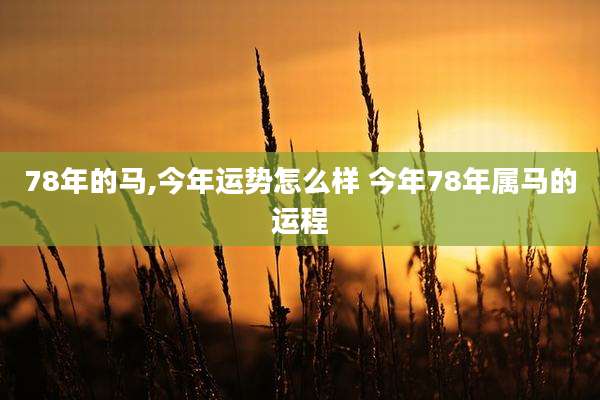 78年的马,今年运势怎么样 今年78年属马的运程