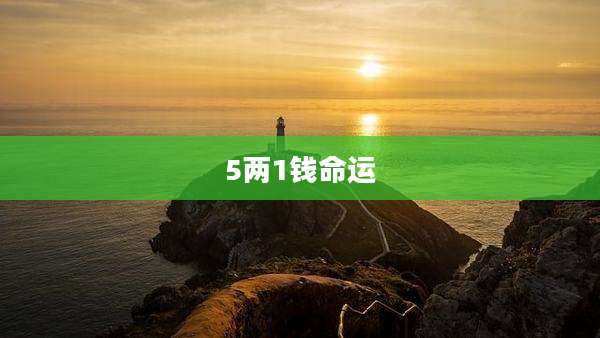 5两1钱命运