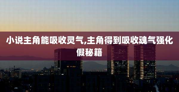 小说主角能吸收灵气,主角得到吸收魂气强化假秘籍