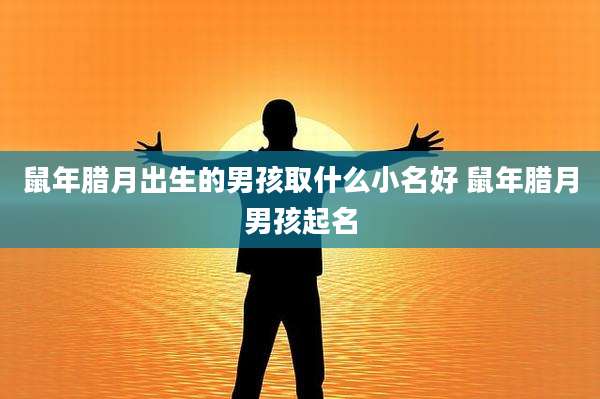 鼠年腊月出生的男孩取什么小名好 鼠年腊月男孩起名