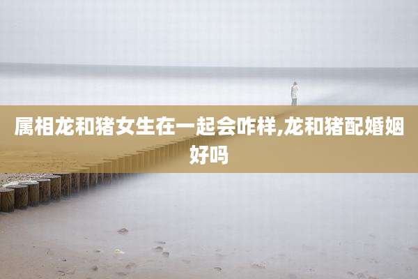 属相龙和猪女生在一起会咋样,龙和猪配婚姻好吗