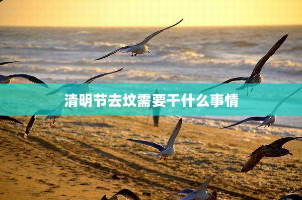 清明节去坟需要干什么事情