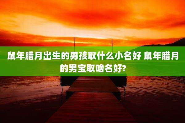 鼠年腊月出生的男孩取什么小名好 鼠年腊月的男宝取啥名好?