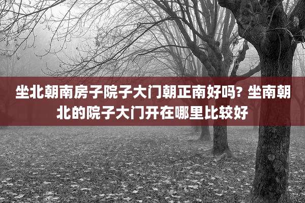 坐北朝南房子院子大门朝正南好吗? 坐南朝北的院子大门开在哪里比较好