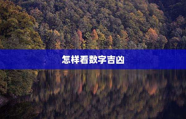 怎样看数字吉凶