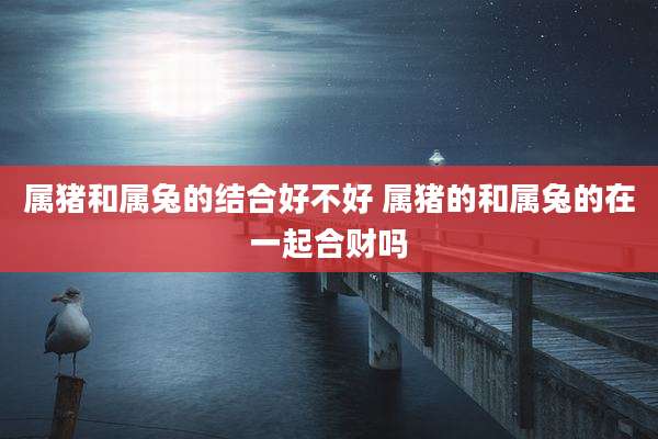 属猪和属兔的结合好不好 属猪的和属兔的在一起合财吗