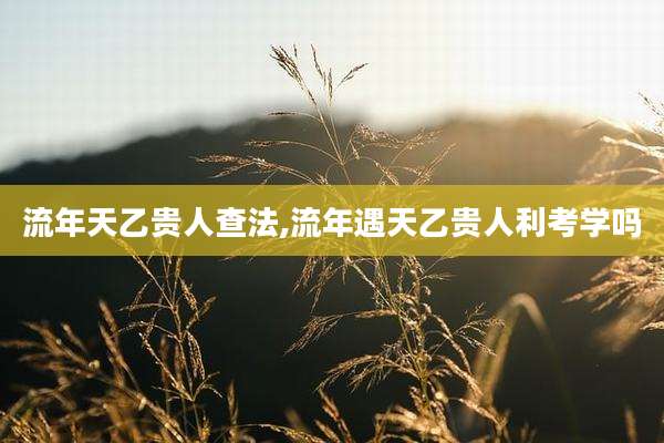 流年天乙贵人查法,流年遇天乙贵人利考学吗