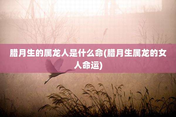 腊月生的属龙人是什么命(腊月生属龙的女人命运)