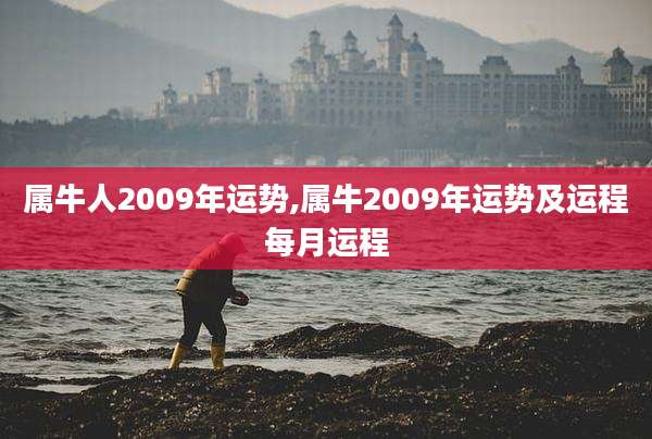 属牛人2009年运势,属牛2009年运势及运程每月运程