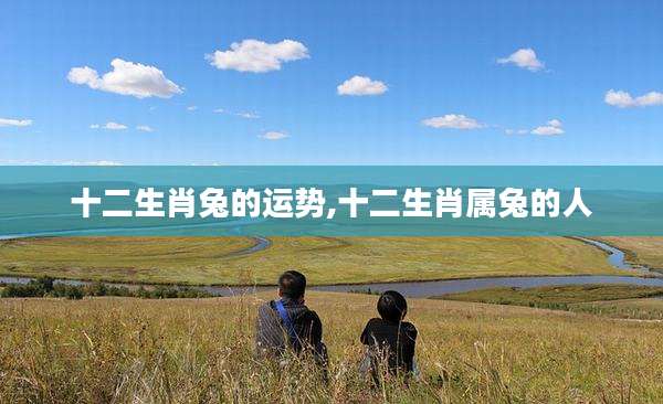 十二生肖兔的运势,十二生肖属兔的人