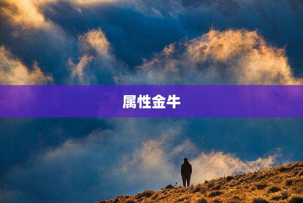 属性金牛