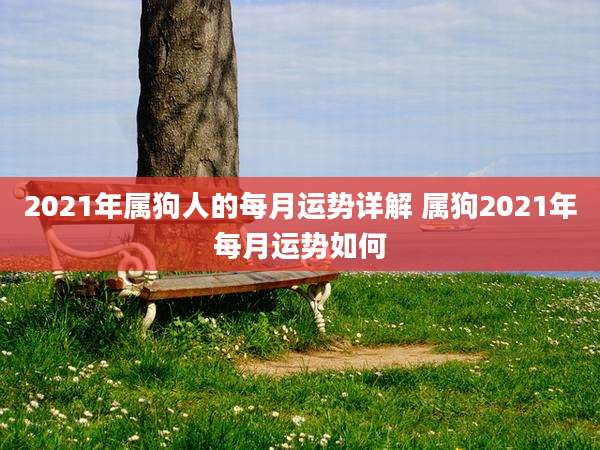 2021年属狗人的每月运势详解 属狗2021年每月运势如何
