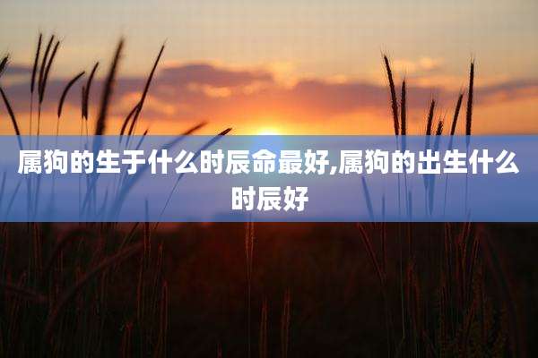 属狗的生于什么时辰命最好,属狗的出生什么时辰好