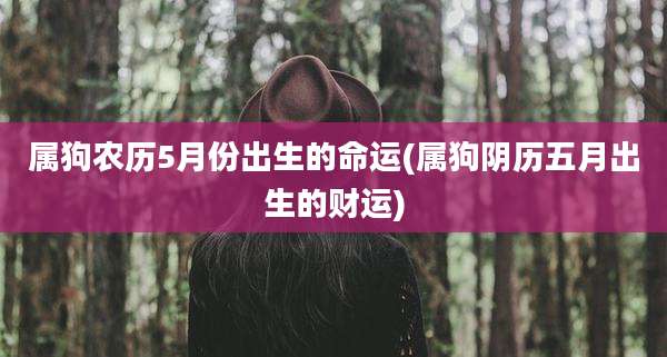 属狗农历5月份出生的命运(属狗阴历五月出生的财运)