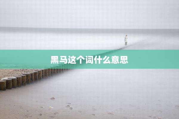 黑马这个词什么意思