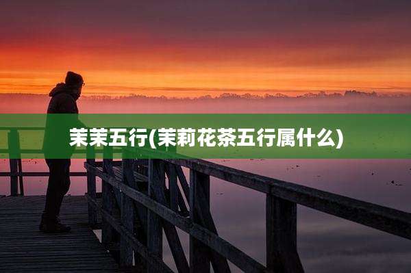 茉茉五行(茉莉花茶五行属什么)
