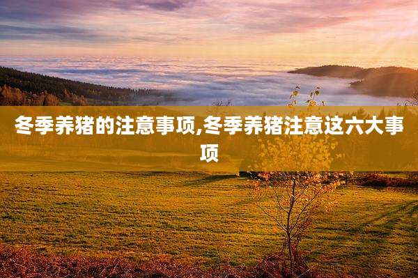 冬季养猪的注意事项,冬季养猪注意这六大事项