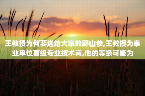 王教授为何要送给大家的野山参,王教授为事业单位高级专业技术岗,他的等级可能为