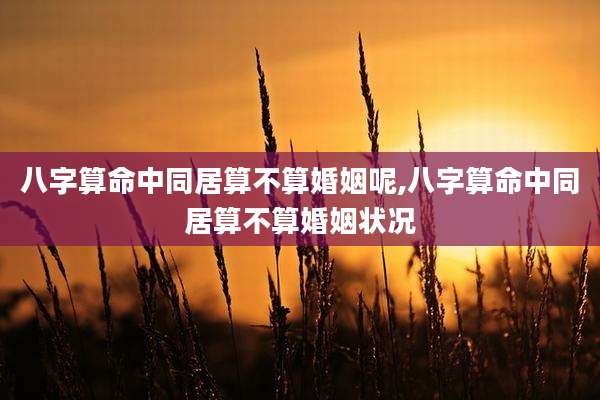 八字算命中同居算不算婚姻呢,八字算命中同居算不算婚姻状况