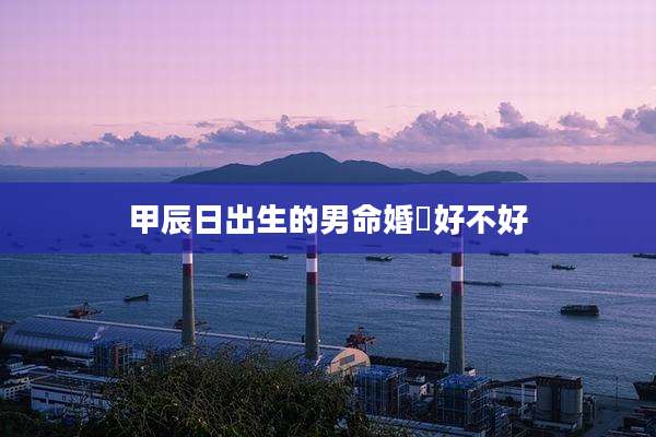 甲辰日出生的男命婚婟好不好
