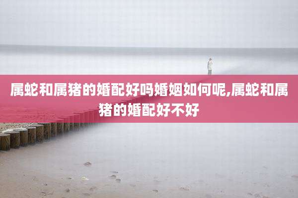 属蛇和属猪的婚配好吗婚姻如何呢,属蛇和属猪的婚配好不好