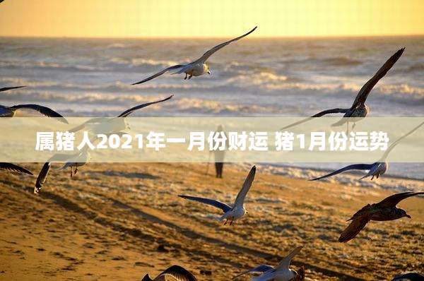 属猪人2021年一月份财运 猪1月份运势