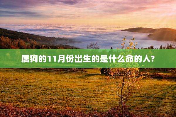 属狗的11月份出生的是什么命的人?