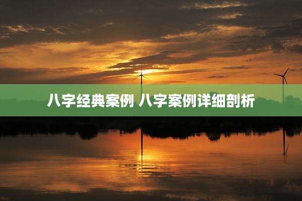 八字经典案例 八字案例详细剖析