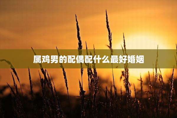 属鸡男的配偶配什么最好婚姻