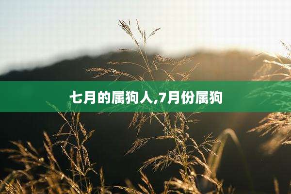 七月的属狗人,7月份属狗