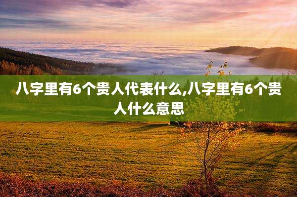 八字里有6个贵人代表什么,八字里有6个贵人什么意思
