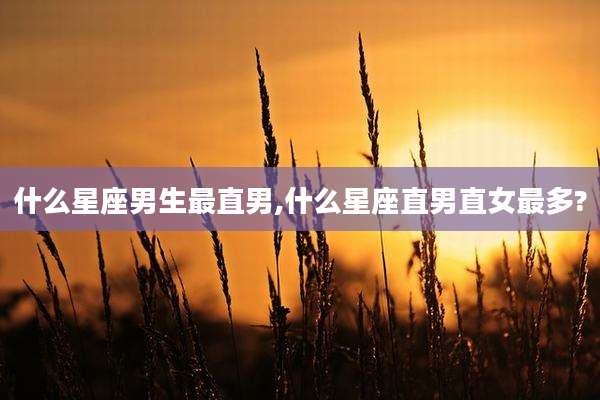 什么星座男生最直男,什么星座直男直女最多?